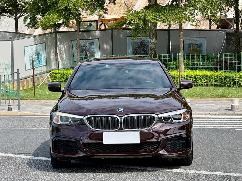 BMW 5 Series — миниатюра 2