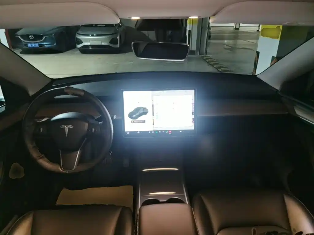 Tesla Model Y — миниатюра 10