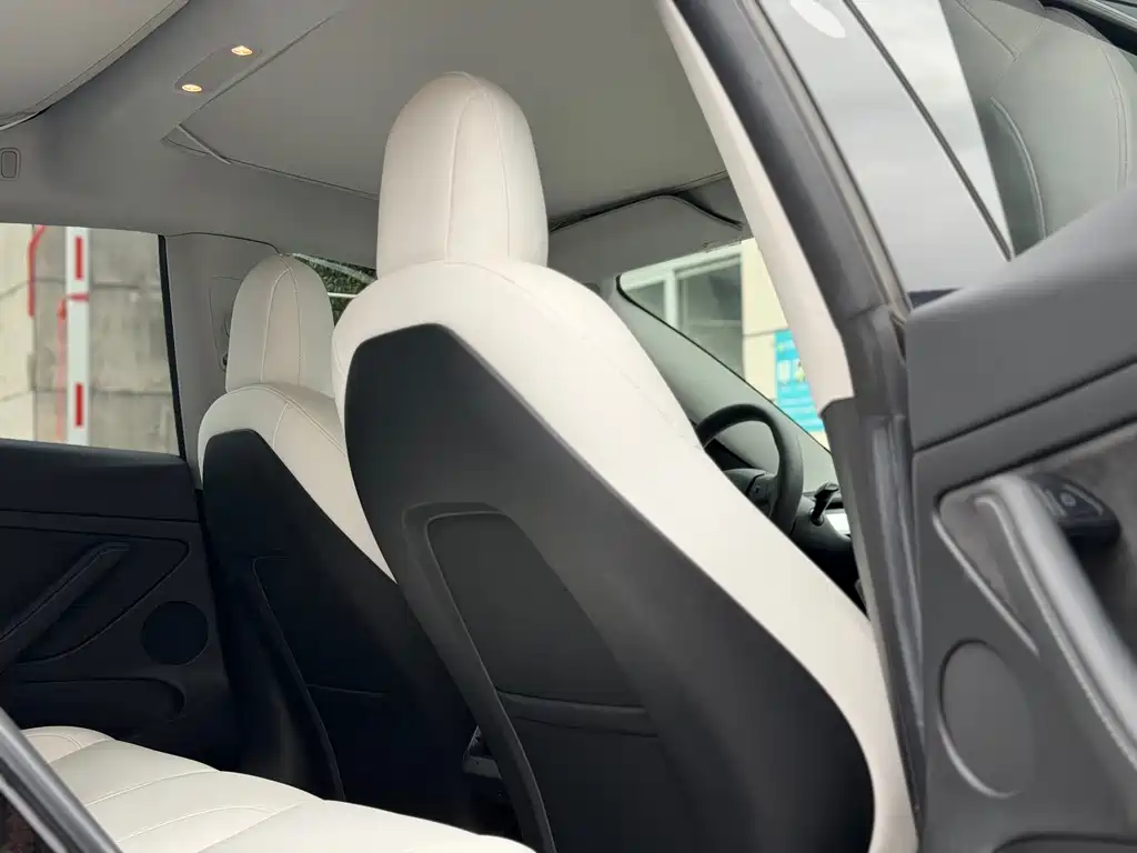 Tesla Model 3 — миниатюра 8