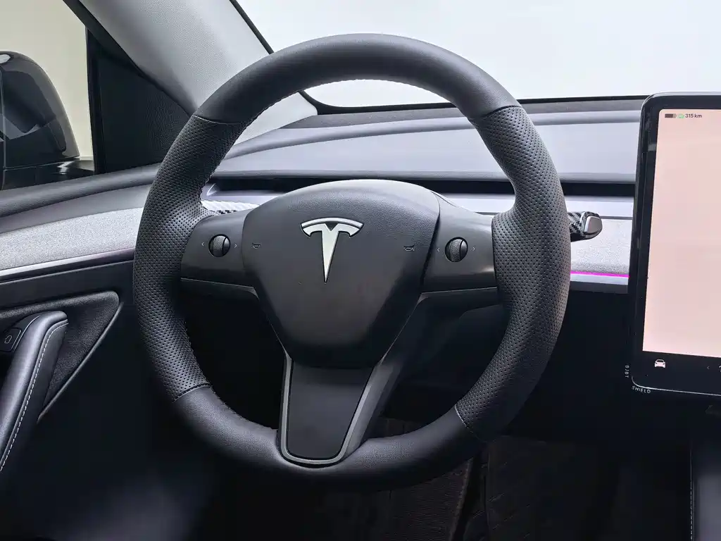 Tesla Model Y — миниатюра 15