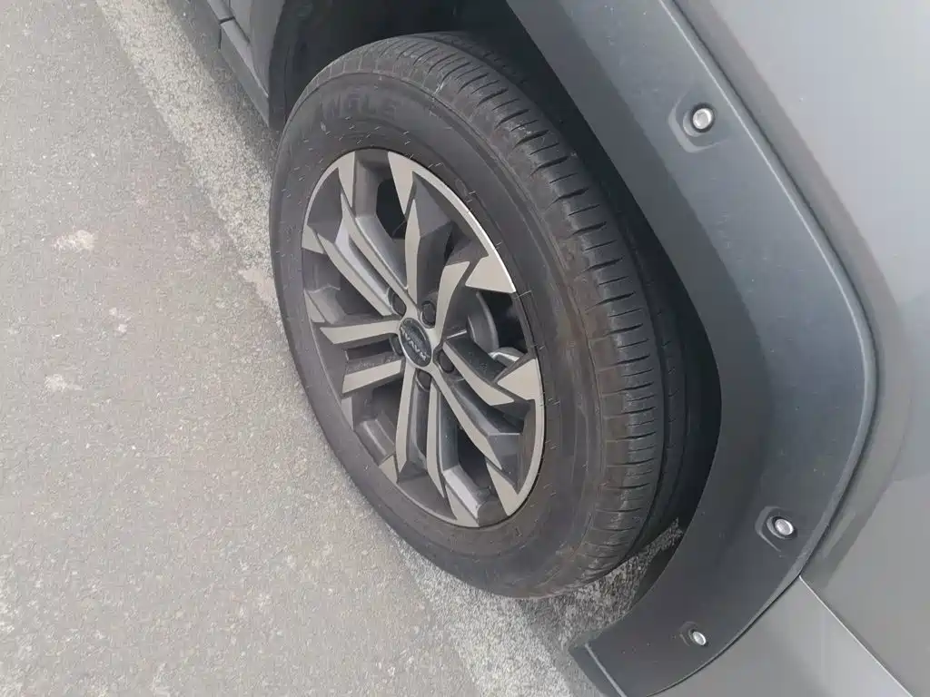 Haval Big Dog PLUS — миниатюра 24