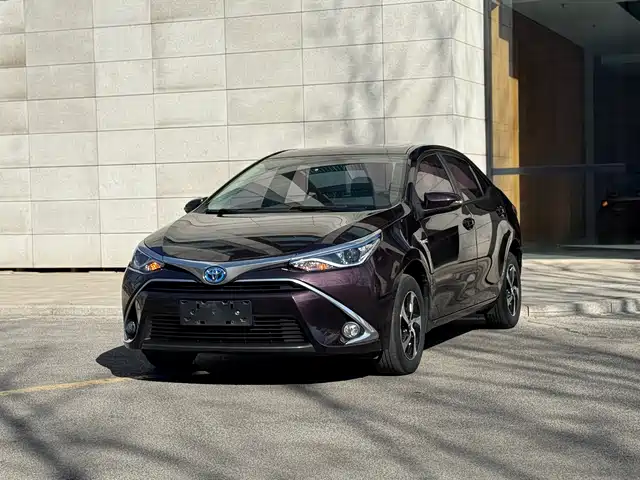 TOYOTA LEI LING 2017