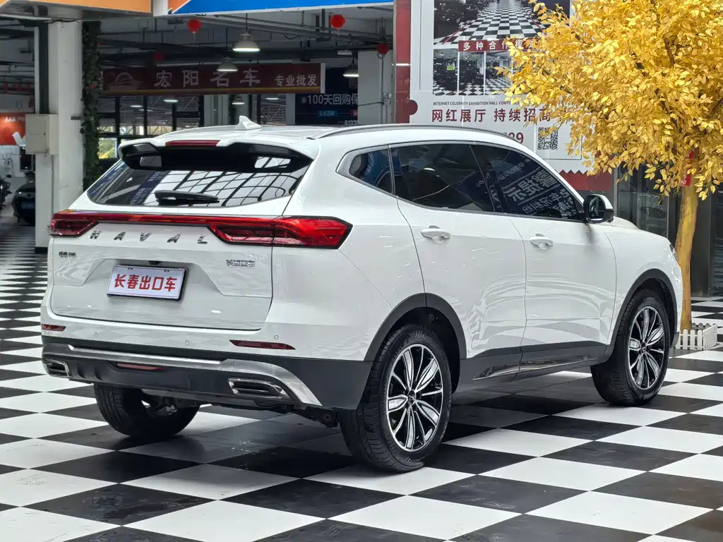 Haval H6 — миниатюра 4
