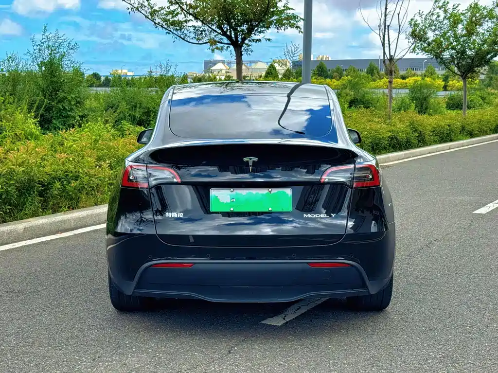 Tesla Model Y — миниатюра 8