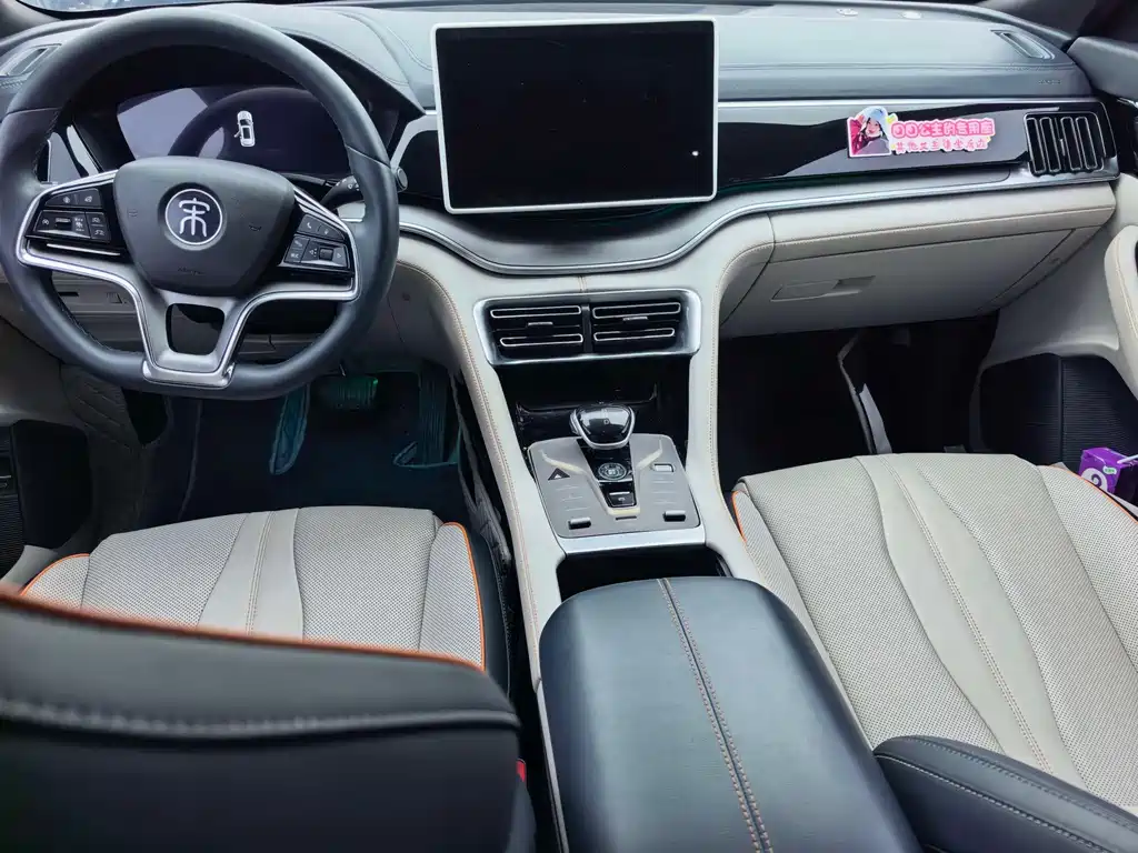 BYD PLUS New Energy — миниатюра 6