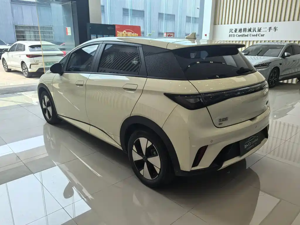 BYD Dolphin — миниатюра 4