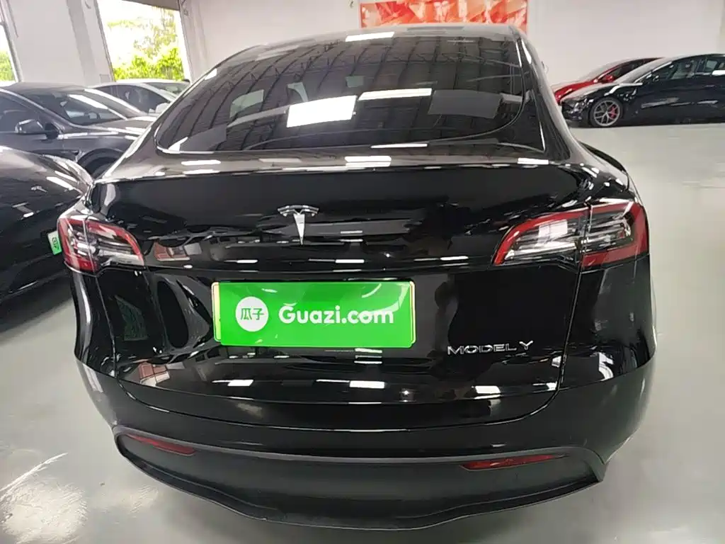 Tesla Model Y — миниатюра 6