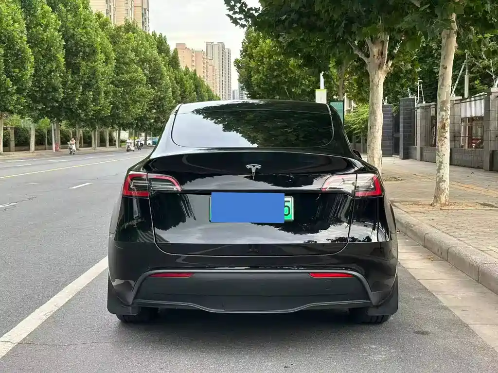 Tesla Model Y — миниатюра 4