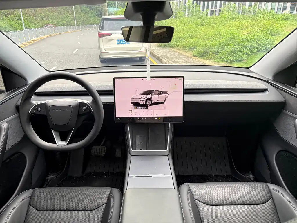 Tesla Model Y — миниатюра 7