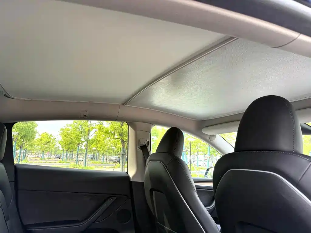 Tesla Model Y — миниатюра 4