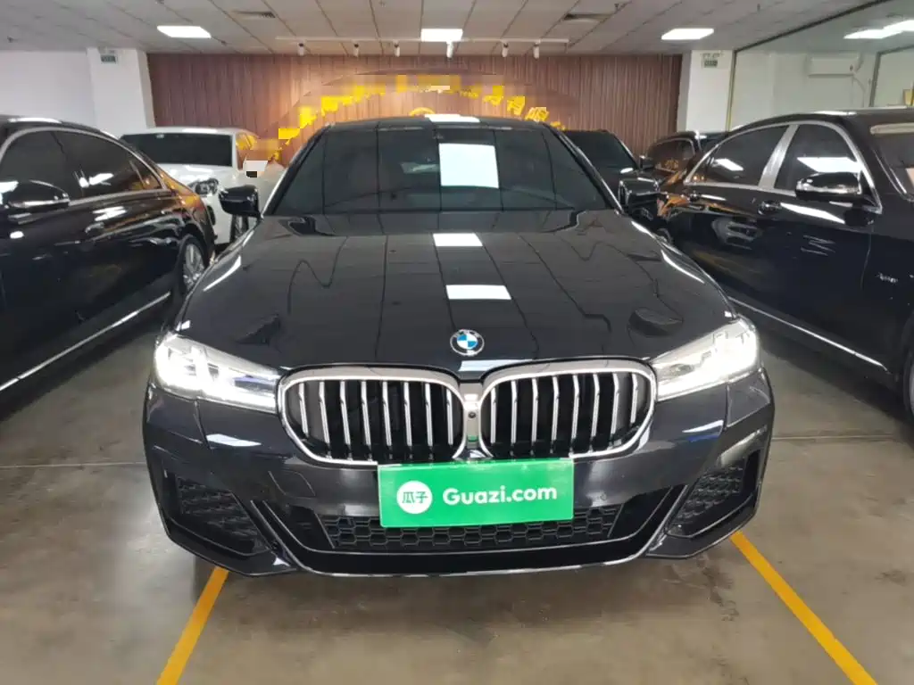 BMW 5 Series — миниатюра 3