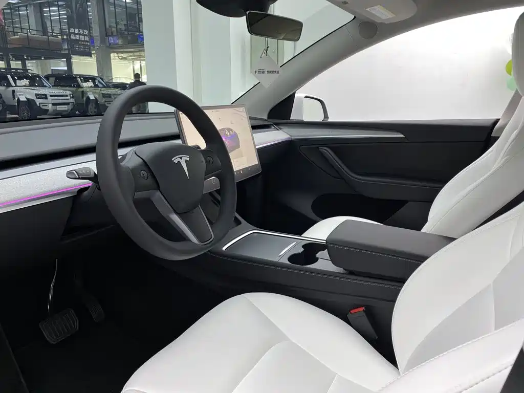 Tesla Model Y — миниатюра 19