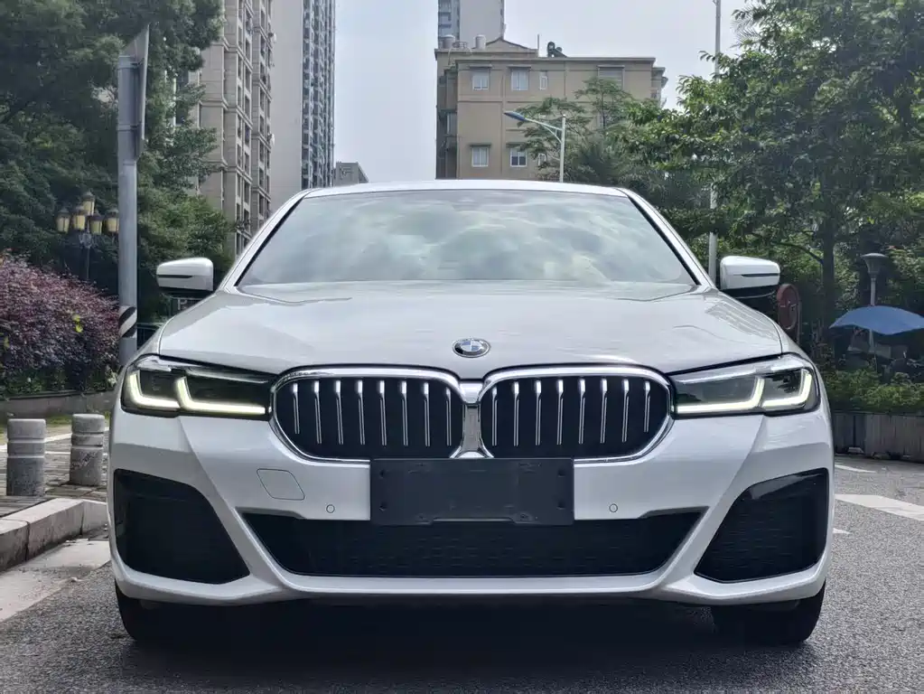 BMW 5 Series — миниатюра 2