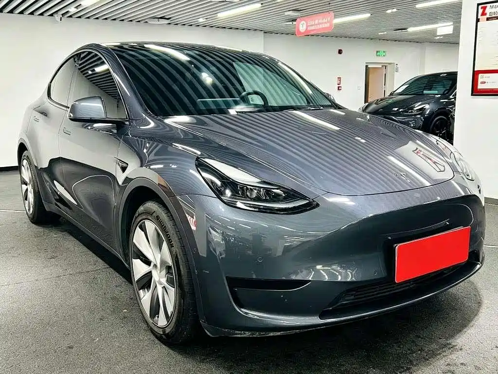 Tesla Model Y — миниатюра 3