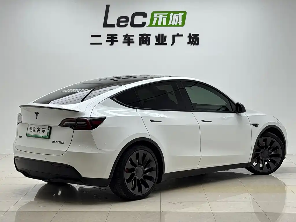 Tesla Model Y — миниатюра 4