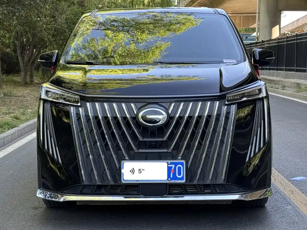 GAC Motor Trumpchi M8 — миниатюра 2