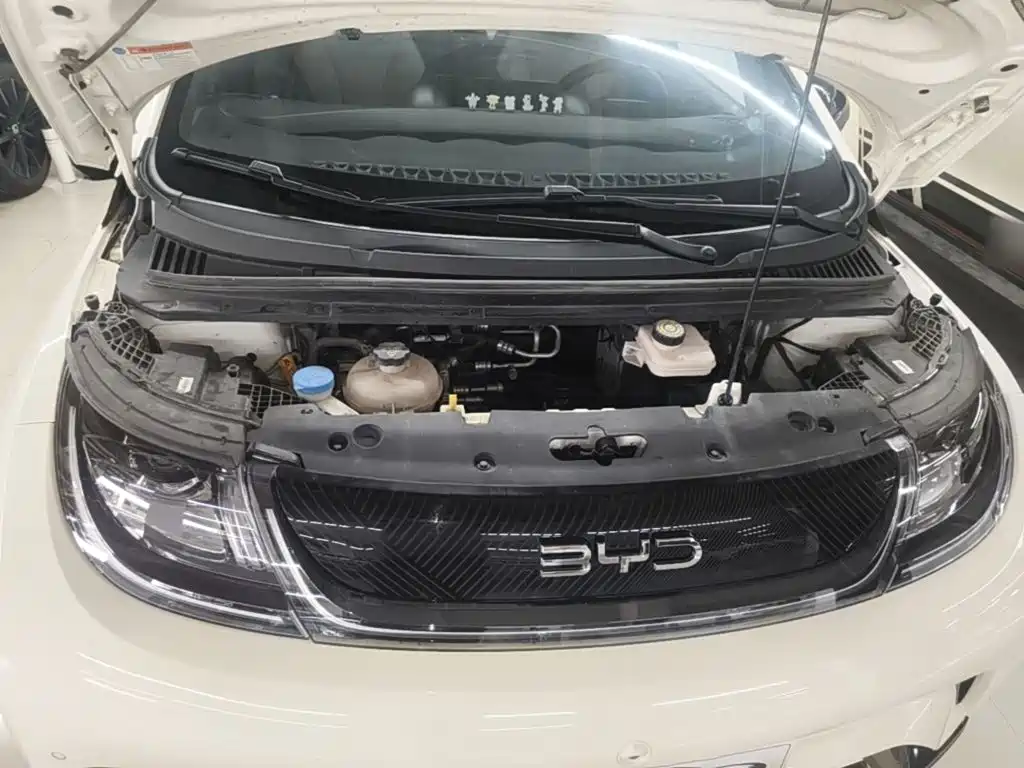 BYD Dolphin — миниатюра 20