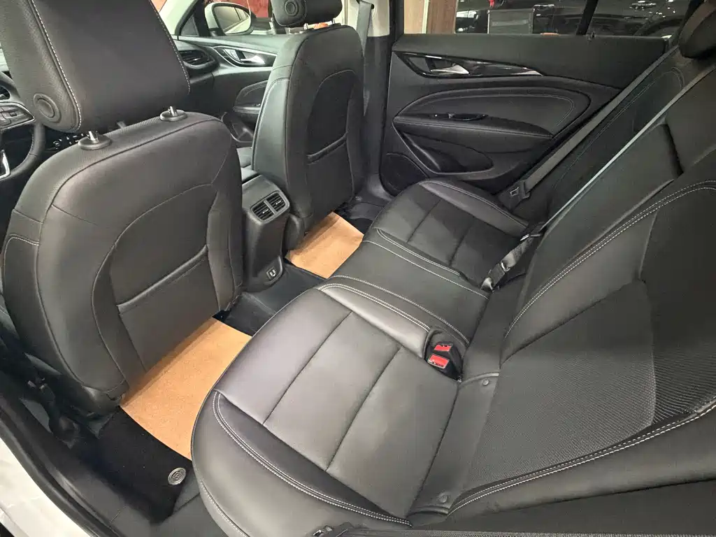Buick Regal — миниатюра 12