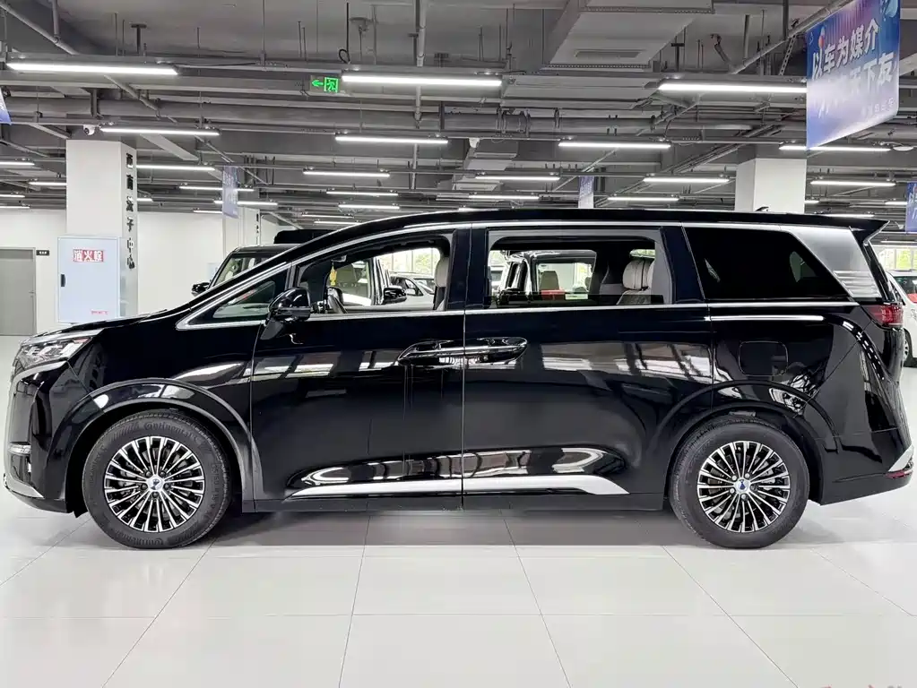 Denza Denza D9 — миниатюра 2