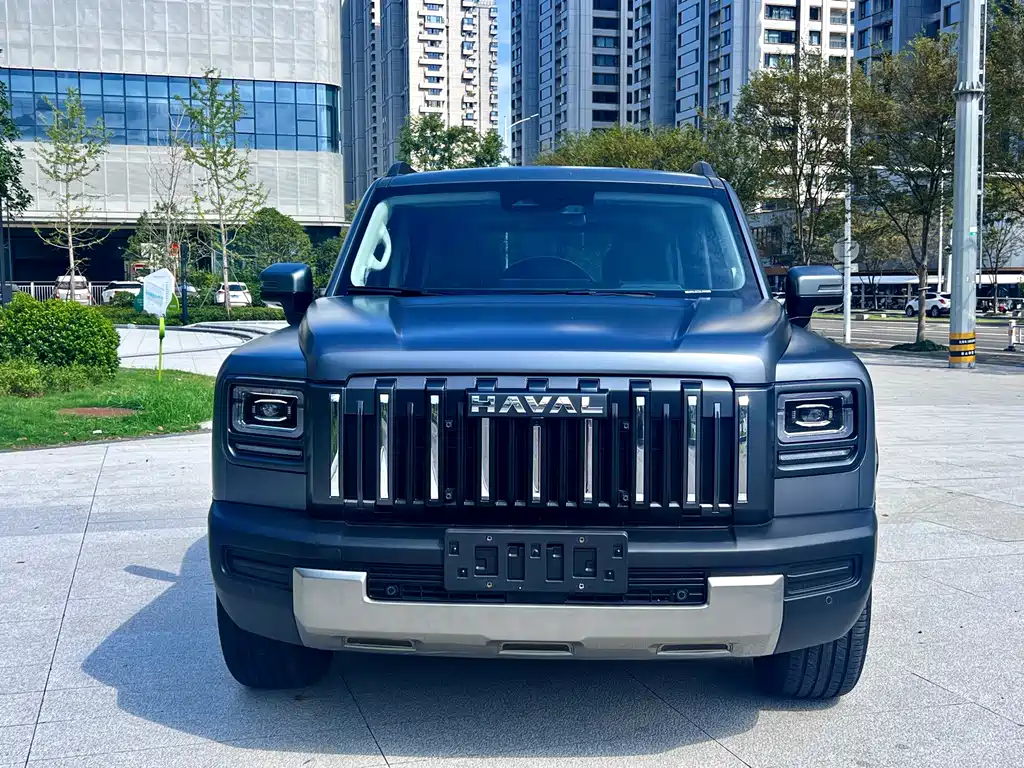 Haval Menglong Petrol — миниатюра 2