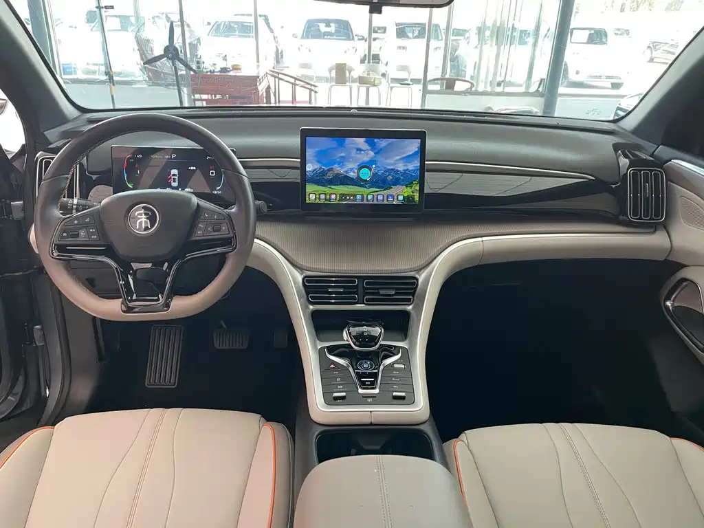 BYD Pro New Energy - фото 6
