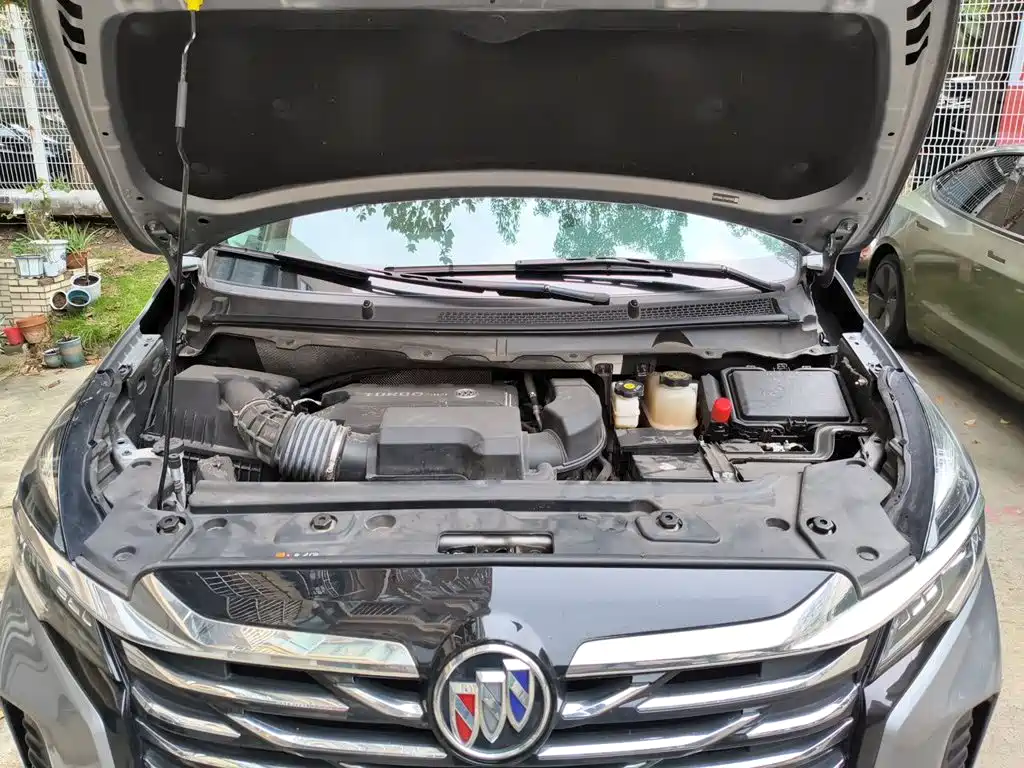 Buick GL8 — миниатюра 21