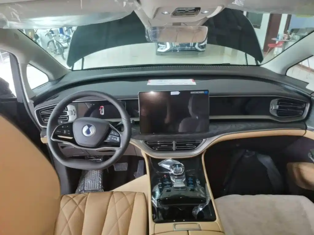 Denza Denza D9 — миниатюра 11