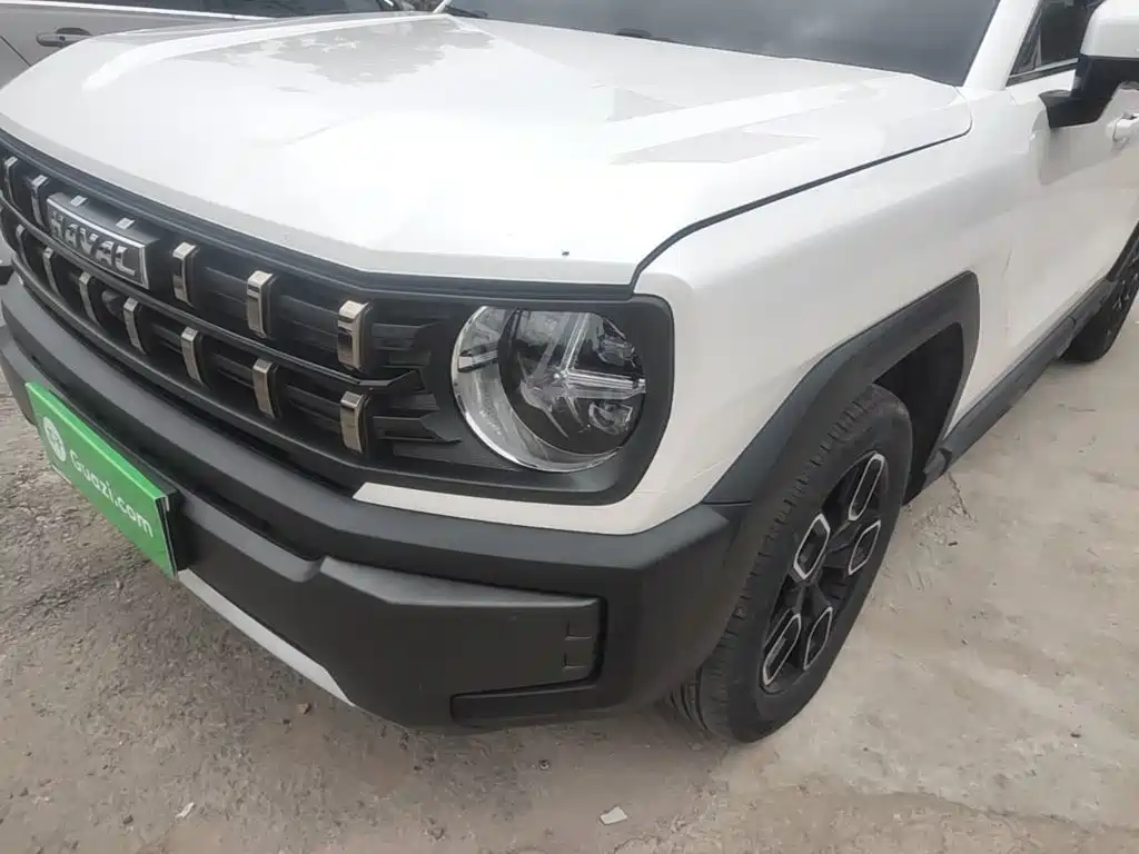 Haval Cool Dog — миниатюра 24