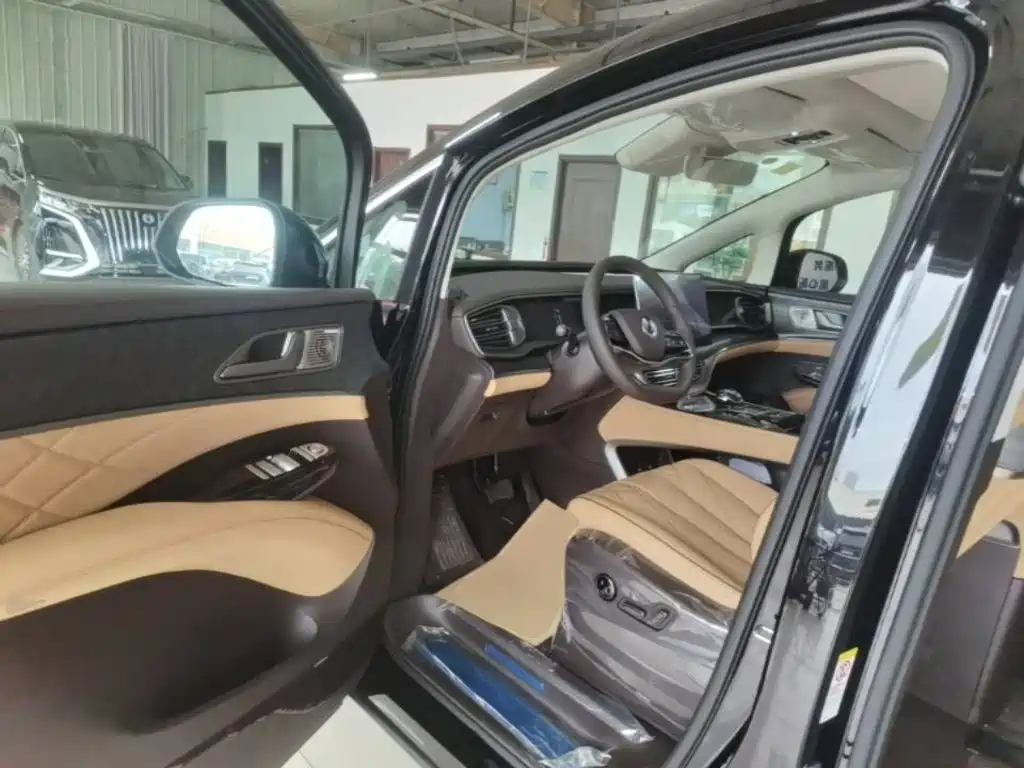 Denza Denza D9 — миниатюра 16