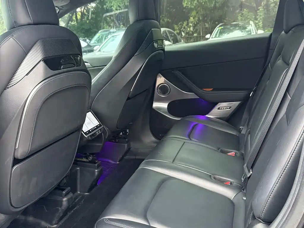 Tesla Model Y — миниатюра 5
