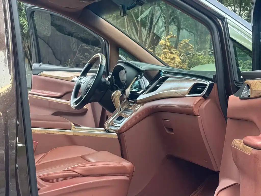 Buick GL8 — миниатюра 8