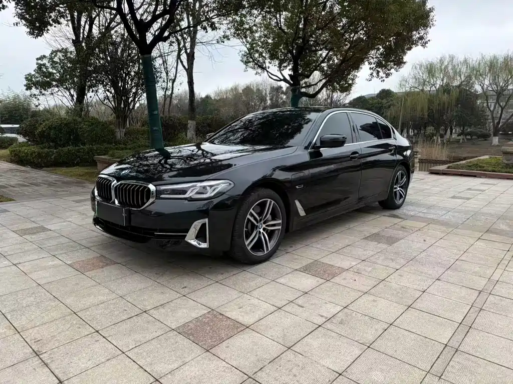 BMW 5 SERIES NEW ENERGY