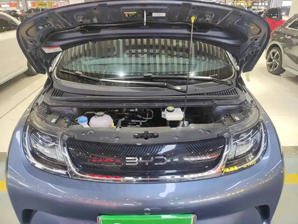 BYD Dolphin — миниатюра 16