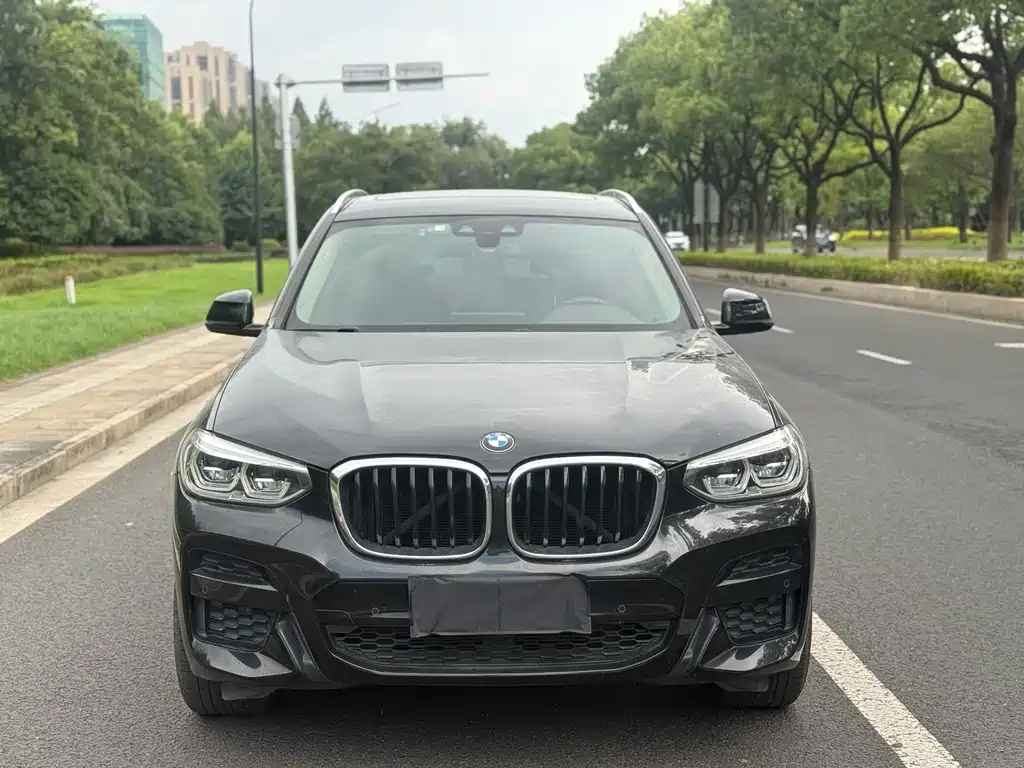 BMW X3 — миниатюра 2