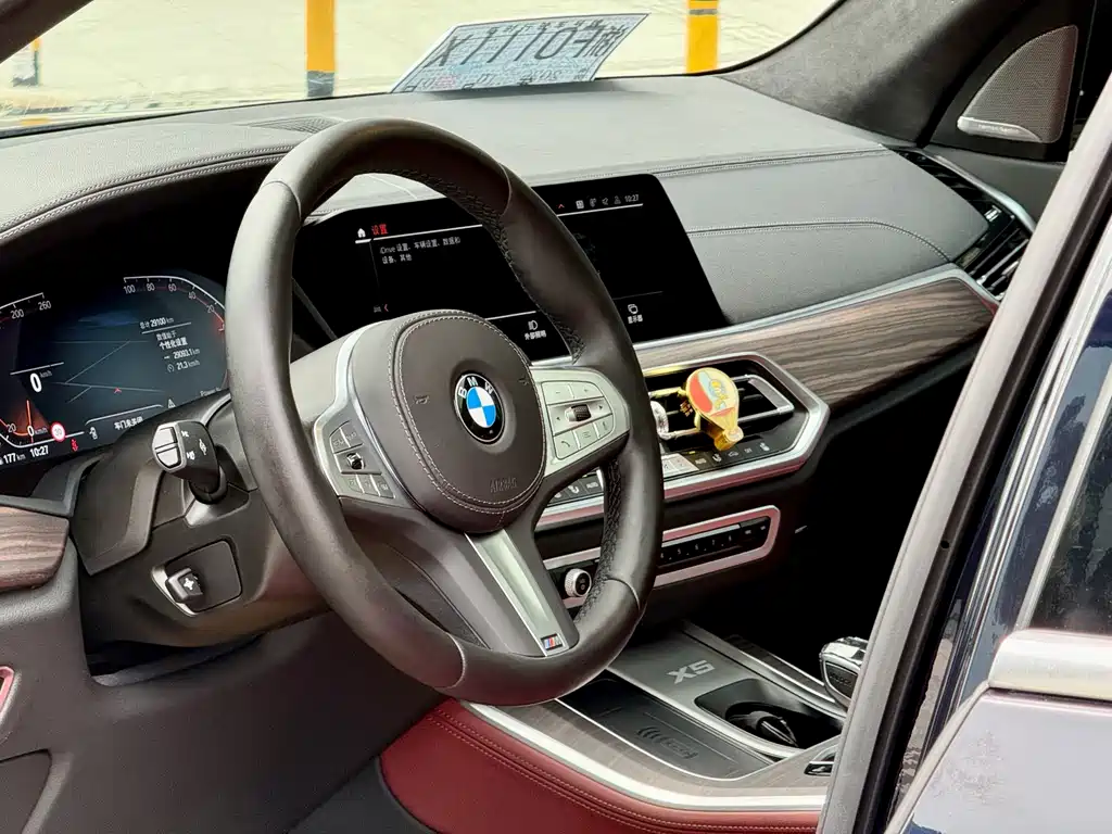 BMW X5 — миниатюра 6