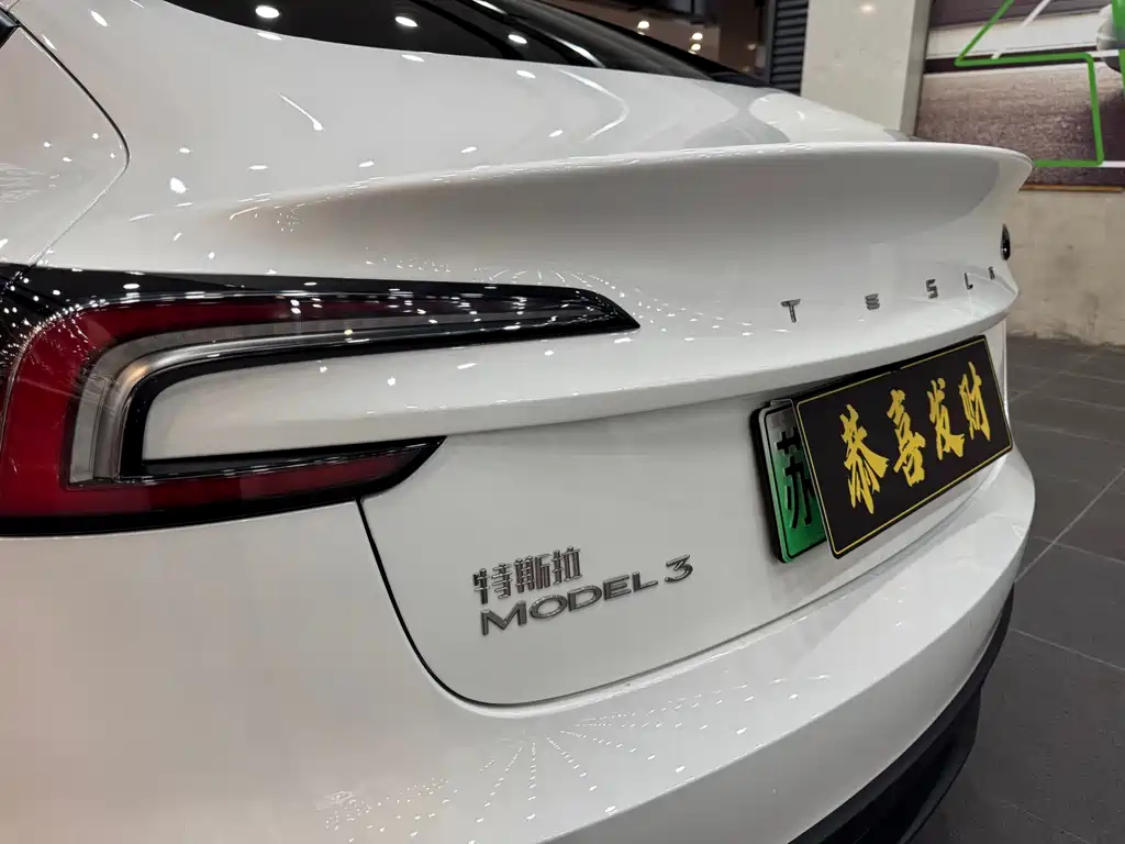 Tesla Model 3 — миниатюра 22