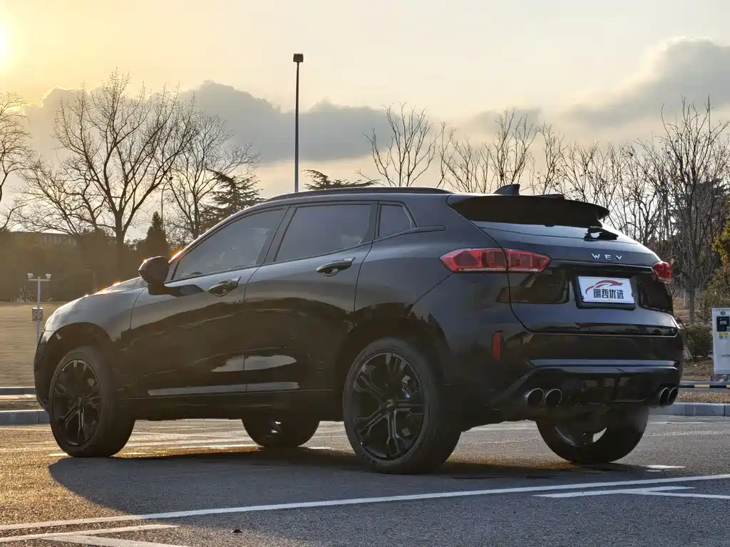 WEI PAI WEI BRAND VV7