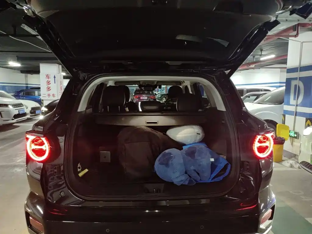 Haval Big Dog PLUS New Energy — миниатюра 21