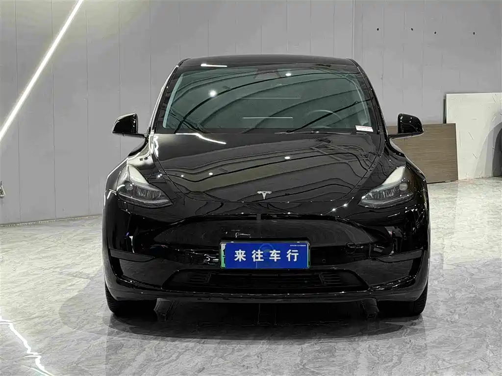 Tesla Model Y — миниатюра 2