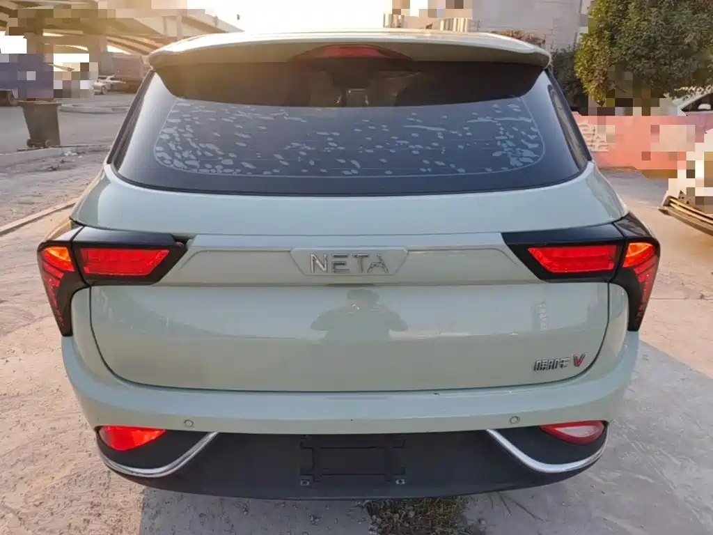 Neta Neta V — миниатюра 6