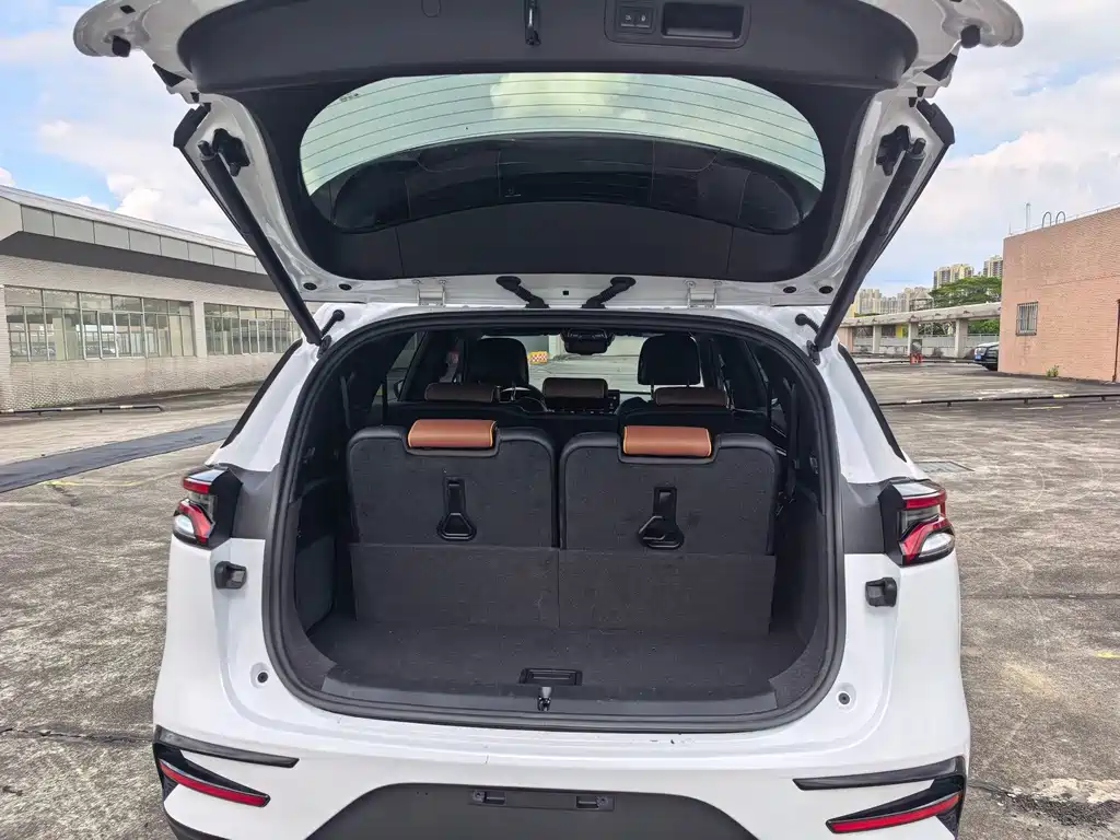 BYD Tang New Energy — миниатюра 24