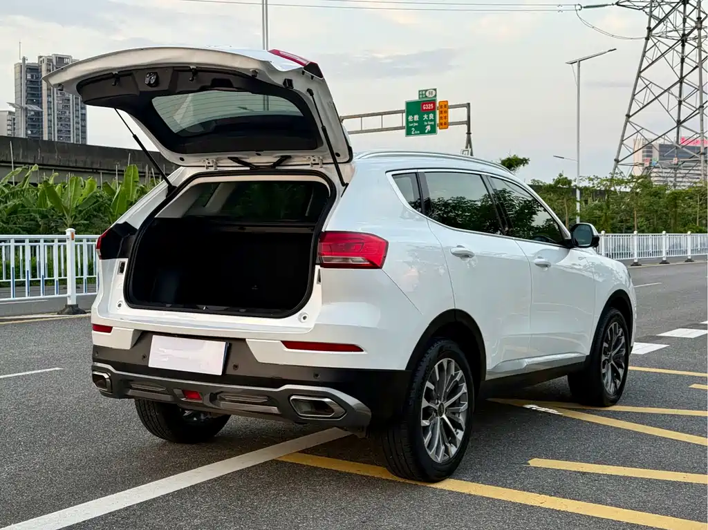 Haval H6 — миниатюра 8