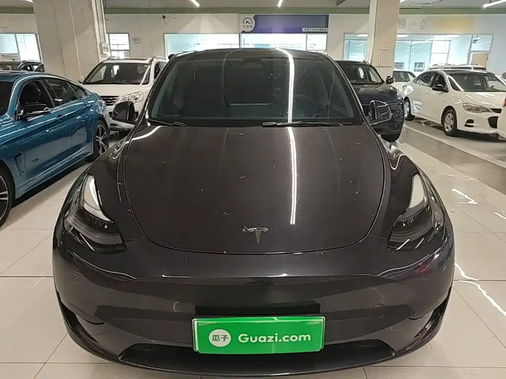 Tesla Model Y — миниатюра 3