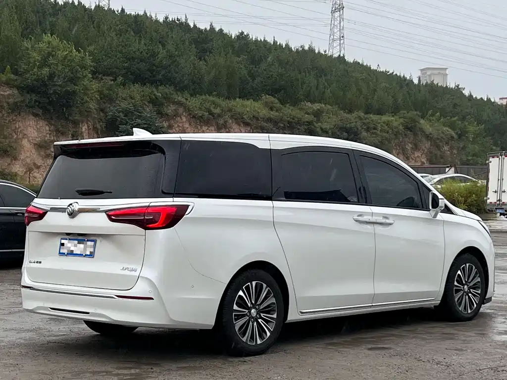 Buick GL8 — миниатюра 4