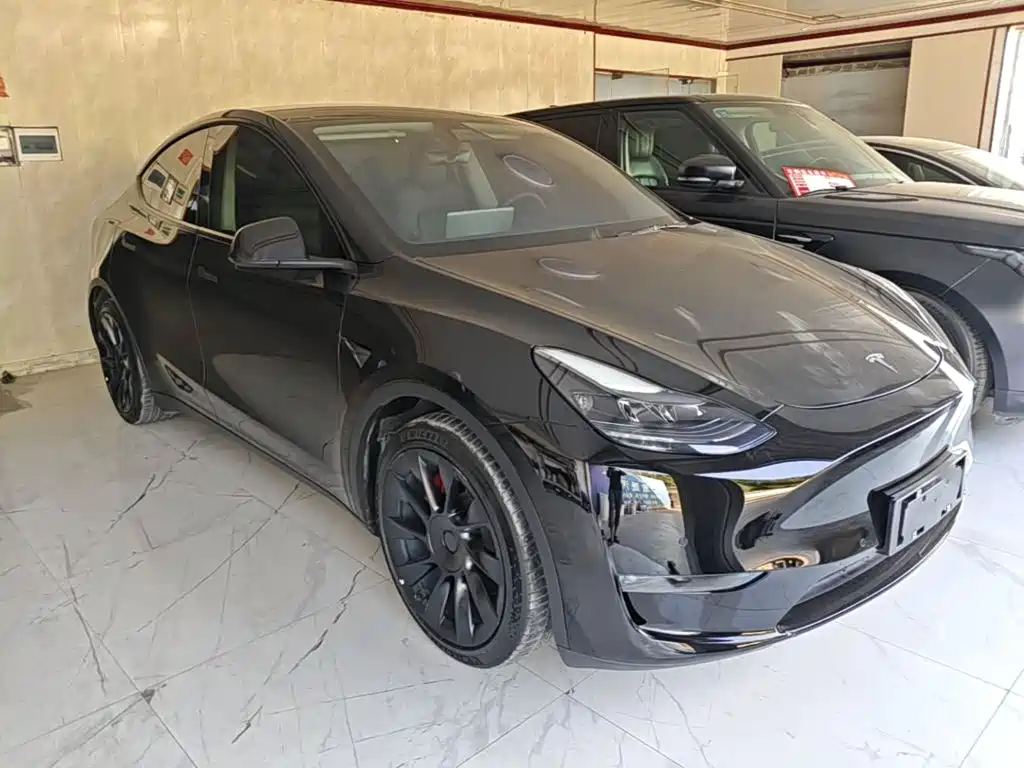 Tesla Model Y — миниатюра 4