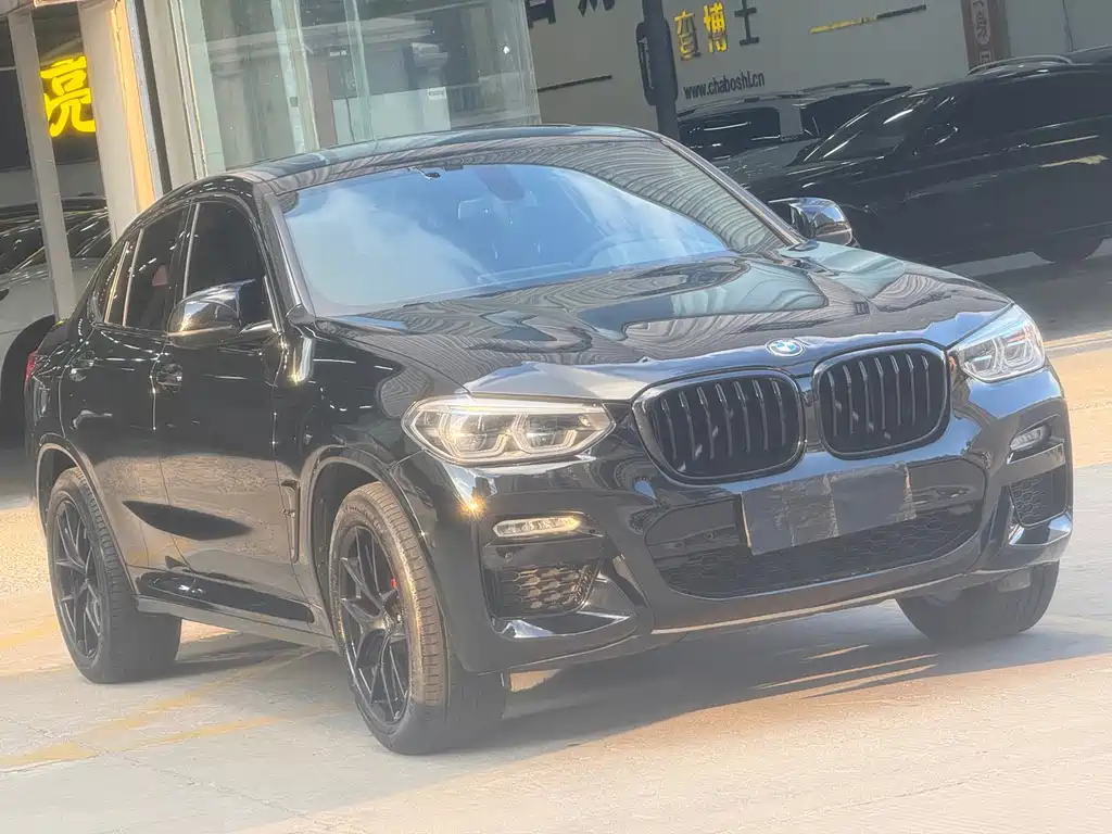 BMW X4 — миниатюра 3