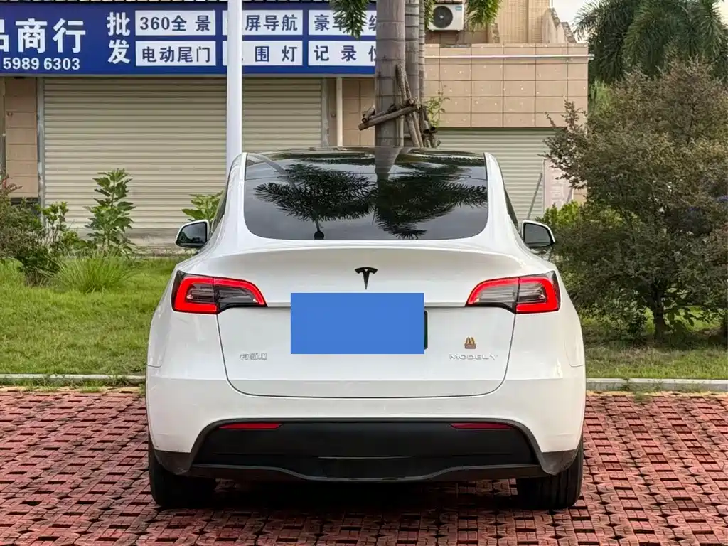 Tesla Model Y — миниатюра 9