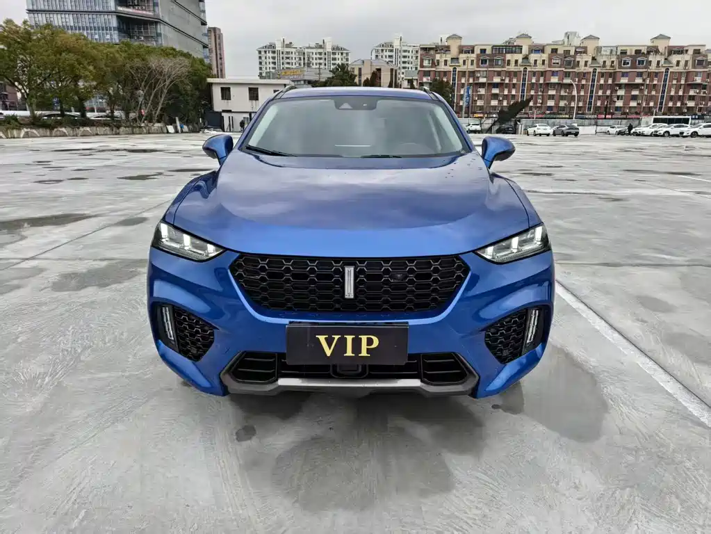 WEI PAI WEI BRAND VV7