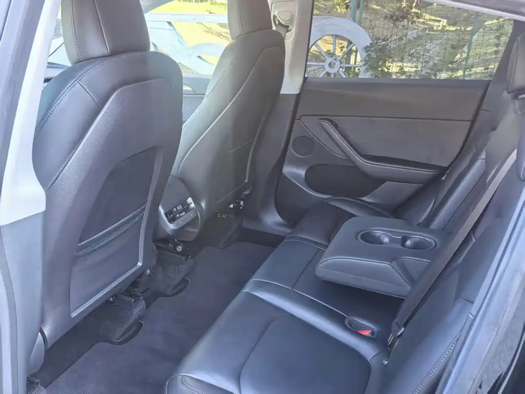 Tesla Model Y — миниатюра 10