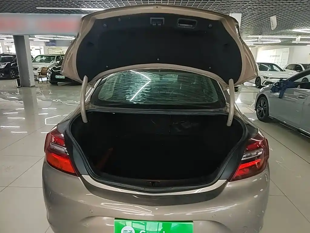 Buick Regal — миниатюра 19